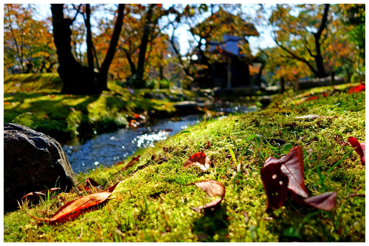 116.jpg